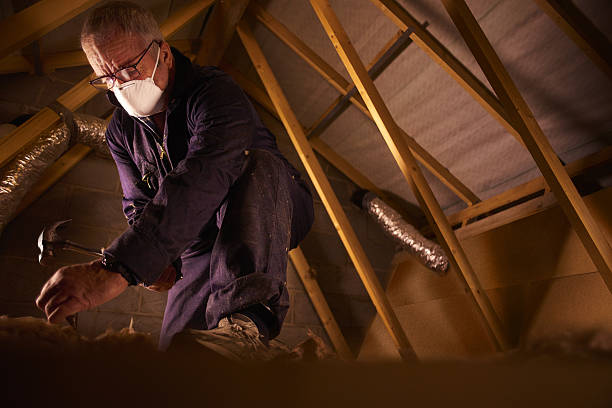 Best Insulation Installation Services in Seymour, IN